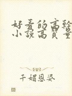 好看的高干言情小说高质量文笔好