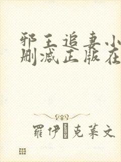 邪王追妻小说无删减正版在线阅读