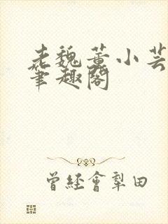 老魏董小芸全文笔趣阁封面