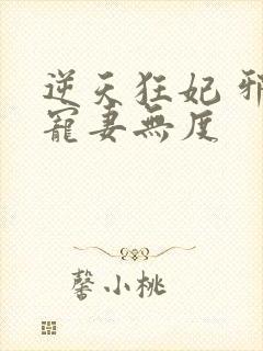 逆天狂妃 邪王宠妻无度