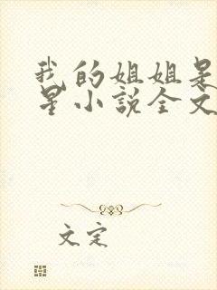 我的姐姐是大明星小说全文阅读