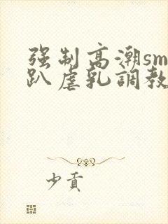 强制高潮sm跪趴虐乳调教小说