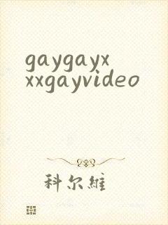 gaygayxxxgayvideo