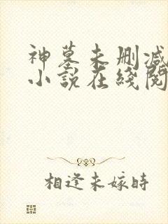 神墓未删减完整小说在线阅读