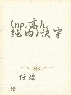 (np,高h,纯肉)快穿封面