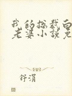 我的总裁白富美老婆小说免费下载封面
