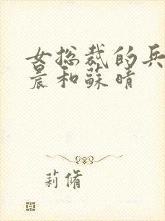 女总裁的兵王萧晨和苏晴