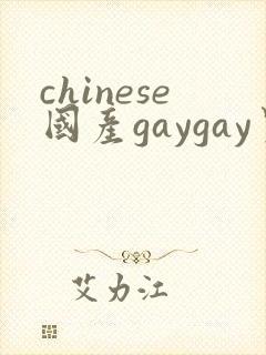 chinese国产gaygay男男网站