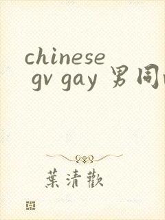 chinese gv gay 男同video在线观看