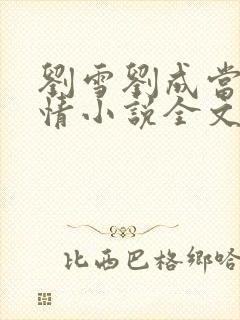 刘雪刘成当代爱情小说全文免费笔趣阁