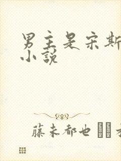 男主是宋斯年的小说