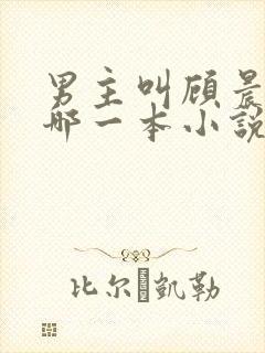 男主叫顾晨的是哪一本小说