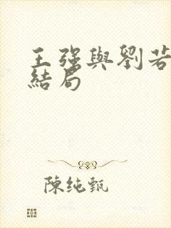 王强与刘若琳的结局