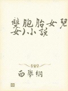 双胞胎女儿(父女)小说