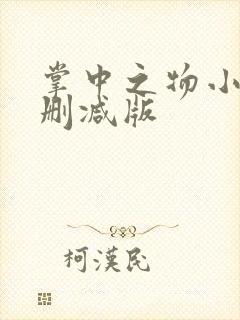 掌中之物小说无删减版封面