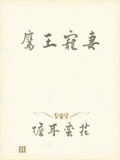 鹰王宠妻