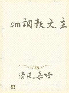 sm调教文主奴