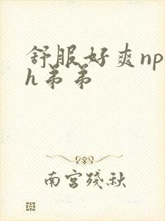舒服好爽np高h弟弟