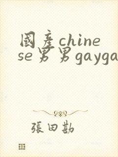 国产chinese男男gaygay 网站