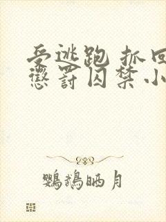 受逃跑 抓回 惩罚囚禁小说