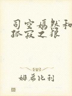 司空嫣然和叶凡孤寂之狼封面