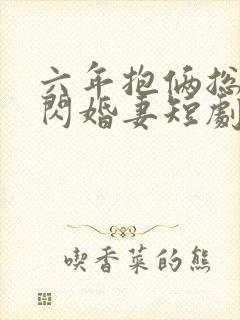 六年抱俩总裁的闪婚妻短剧免费观看
