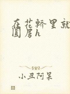 在花轿里就开始圆房h封面