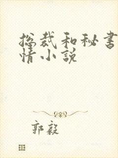 总裁和秘书的言情小说