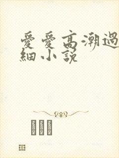 爱爱高潮过程详细小说