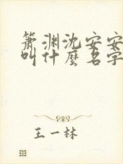 箫渊沈安安小说叫什么名字