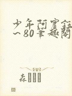 少年阿宾钰慧1~80笔趣阁
