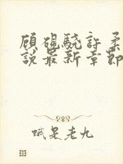 顾砚骁许柔汐小说最新章节更新内容