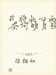 我将此心向明月,奈何明月照沟渠的意思