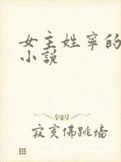 女主姓宁的现代小说