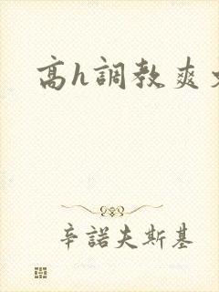 高h调教爽文封面