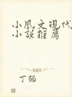 小凰文现代言情小说推荐