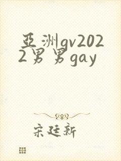 亚洲gv2022男男gay