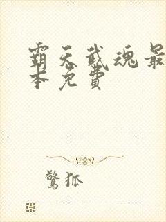 霸天武魂最新全本免费