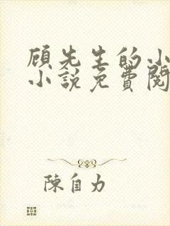 顾先生的小替身小说免费阅读全文