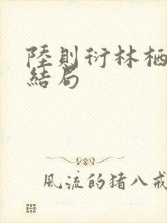 陆则衍林栖后续结局封面