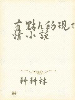 有点h的现代言情小说封面