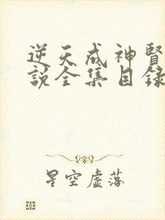 逆天成神贤君小说全集目录封面