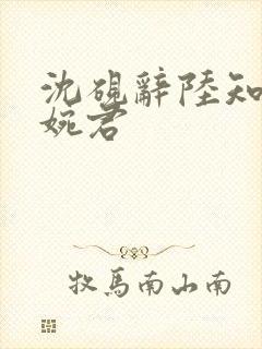 沈砚辞陆知意罗婉君