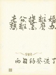 老公提离婚我不想离怎么办封面