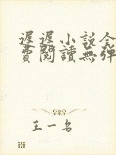 迟迟小说全文免费阅读无弹窗封面