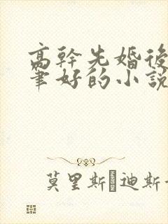 高干先婚后爱文笔好的小说推荐