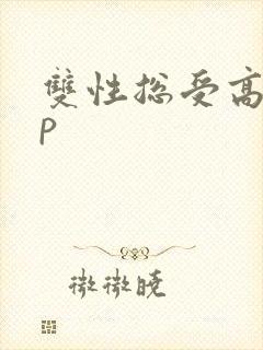 双性总受高hnp