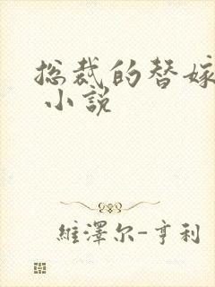 总裁的替嫁新娘 小说