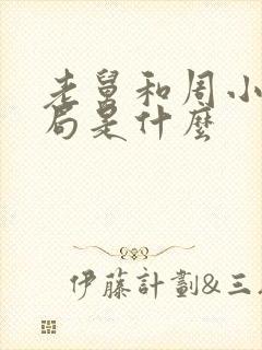 老舅和周小姐结局是什么