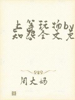 上等玩物by长知怨全文免费阅读笔趣阁封面